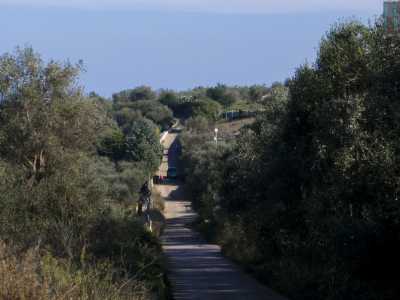 Bari, la natura selvatica di Lama San Giorgio